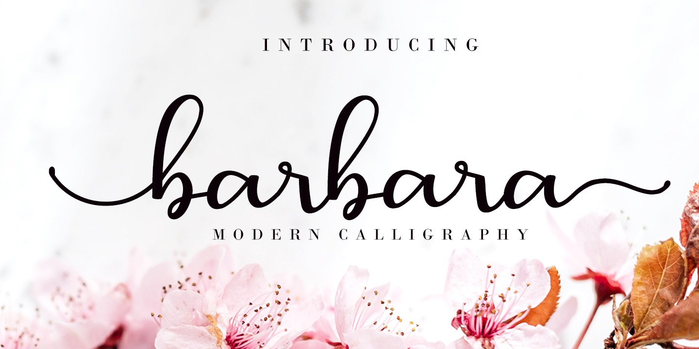 Example font Barbara Calligraphy #1